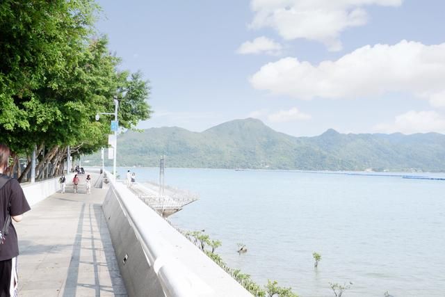 海湾街在哪(海湾接口卡)