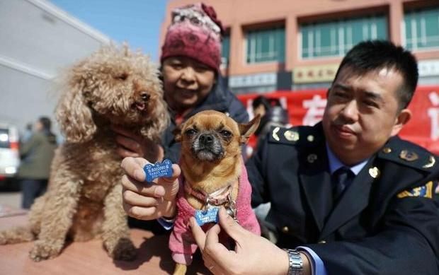 金标尺事业单位培训怎么样(金标尺事业单位讲义)