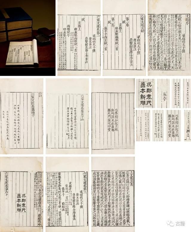 关于马说在哪一侧的信息