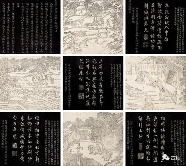 关于马说在哪一侧的信息