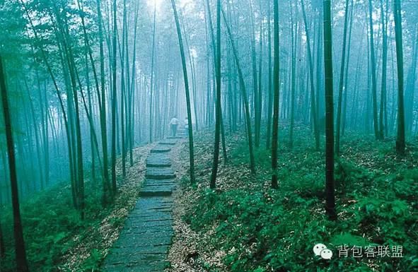 松坪在哪(宋平在甘肃)