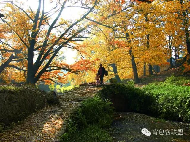 松坪在哪(宋平在甘肃)