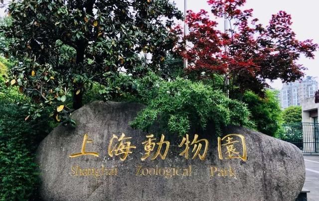 重庆轻轨10号线全线站点(重庆轻轨10号线全线站点线路图)