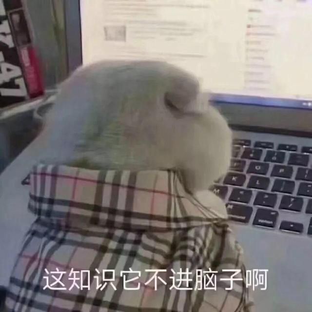 十大注会培训机构(国内cpa最好的十大培训机构)