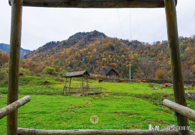 狮子沟在哪(狮子沟在哪里)
