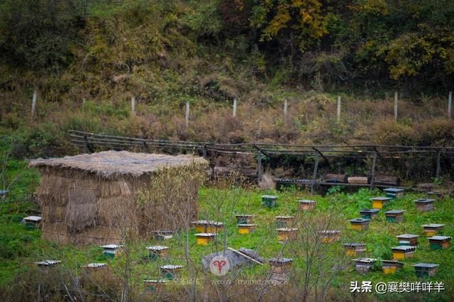 狮子沟在哪(狮子沟在哪里)