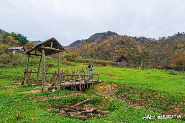 狮子沟在哪(狮子沟在哪里)