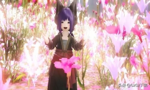 ff14风脉仪在哪(ff14风脉仪任务)