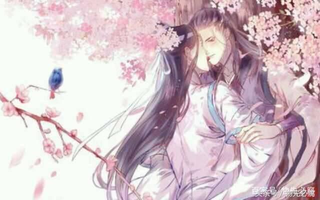 车文放在哪里(挪车电话放在车哪里)