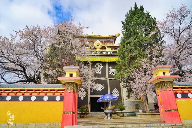 云南香格里拉在哪儿(云南香格里拉在哪里)
