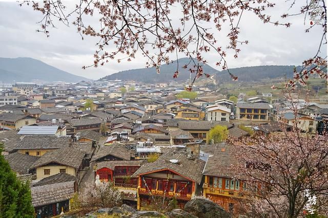 云南香格里拉在哪儿(云南香格里拉在哪里)