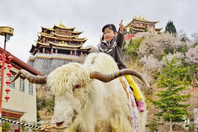 云南香格里拉在哪儿(云南香格里拉在哪里)