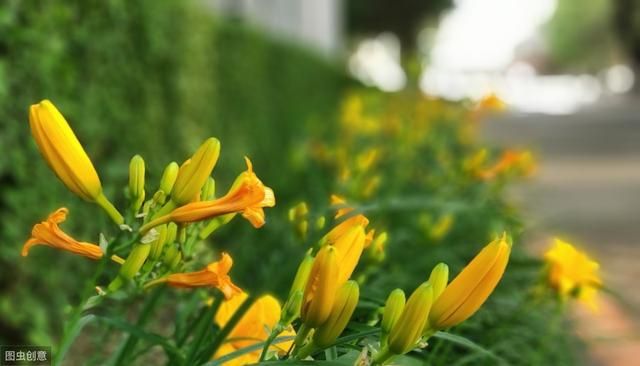东北师范大学在哪个城市(东北师范大学官方网站)