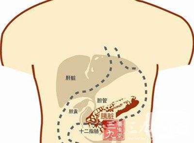 胰液作用在哪(促胰液素的生理作用)