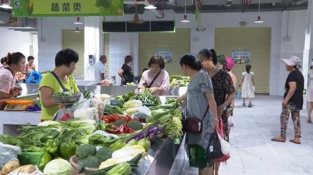 海南狗市场在哪里(海南有狗市场吗)