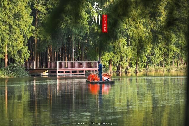 泰州市中心在哪(台州市中心在哪个区)