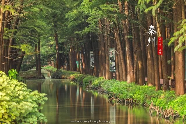 泰州市中心在哪(台州市中心在哪个区)