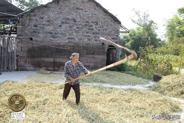 王聪儿乳记在哪里能看的简单介绍