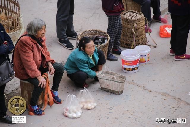 王聪儿乳记在哪里能看的简单介绍