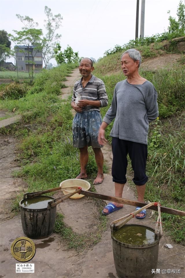 王聪儿乳记在哪里能看的简单介绍