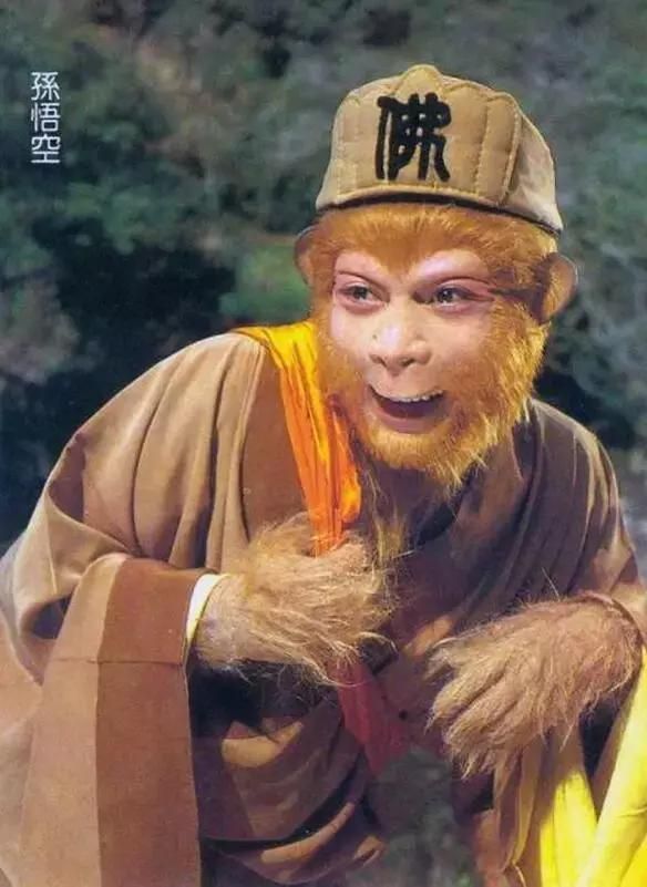紫云洞在哪(紫云洞的成因)