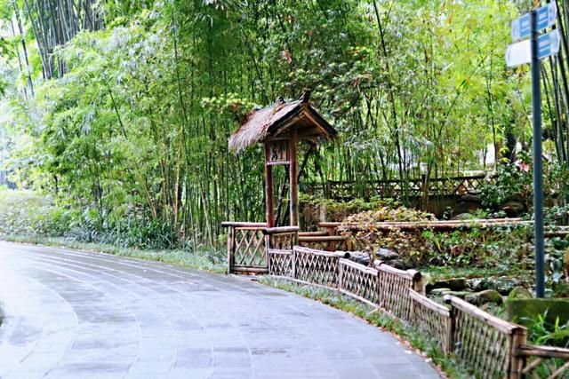 望江公园在哪里(望江公园图片)
