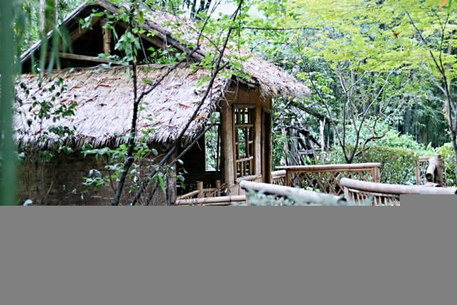 望江公园在哪里(望江公园图片)