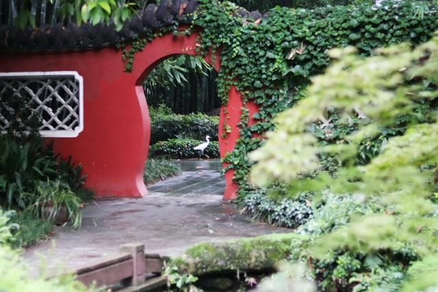 望江公园在哪里(望江公园图片)