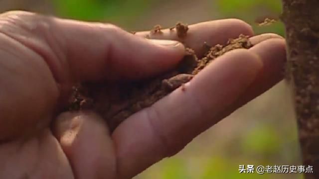 关于北邙墓在哪的信息