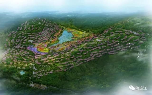 朱山在哪(朱山在哪里)