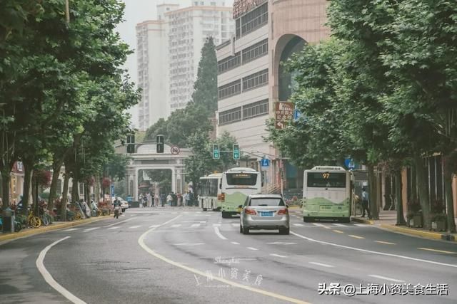 native手办在哪买(native手办图片不打码)