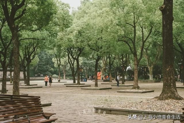 native手办在哪买(native手办图片不打码)