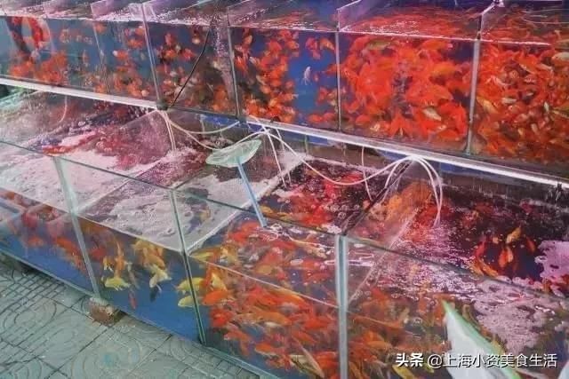 native手办在哪买(native手办图片不打码)