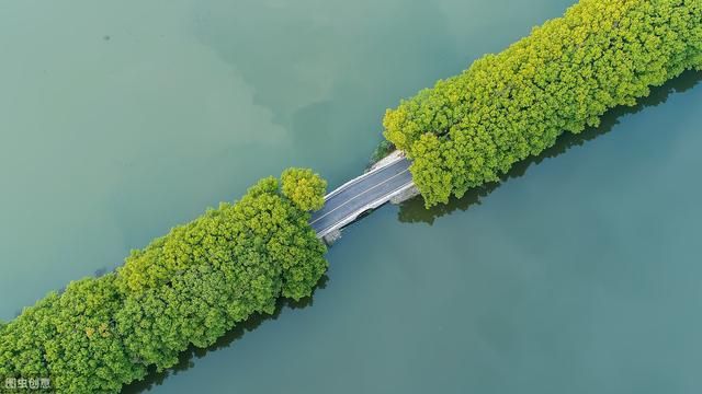 天纵城招聘信息在哪里的简单介绍