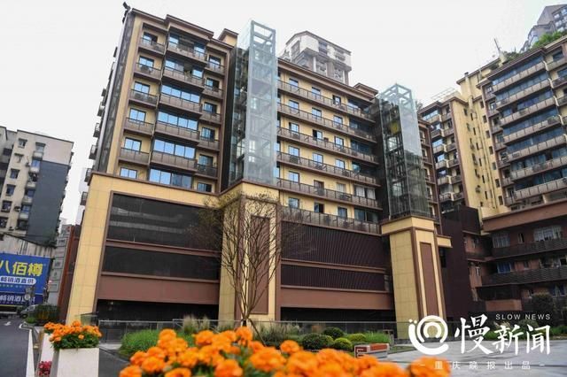 杨家坪新华书店在哪里(杨家坪新华书店电话)