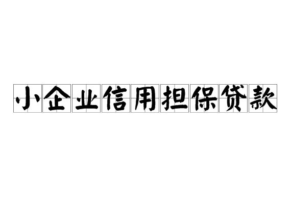 国家支持中小企业投资(国家支持中小企业融资)