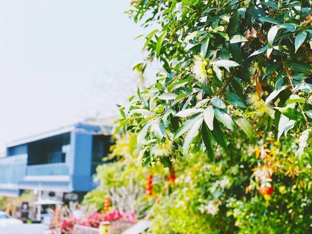 叠溪花园在哪(叠溪花园怎么样)