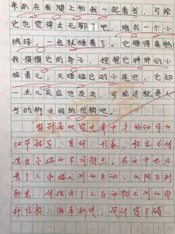 广东美的中山厂很累的吗的简单介绍