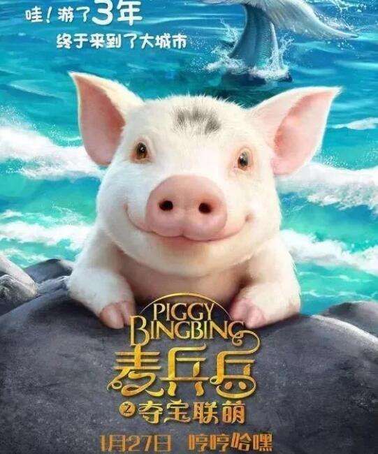 小猪在哪儿(小猪在泥地里打滚)