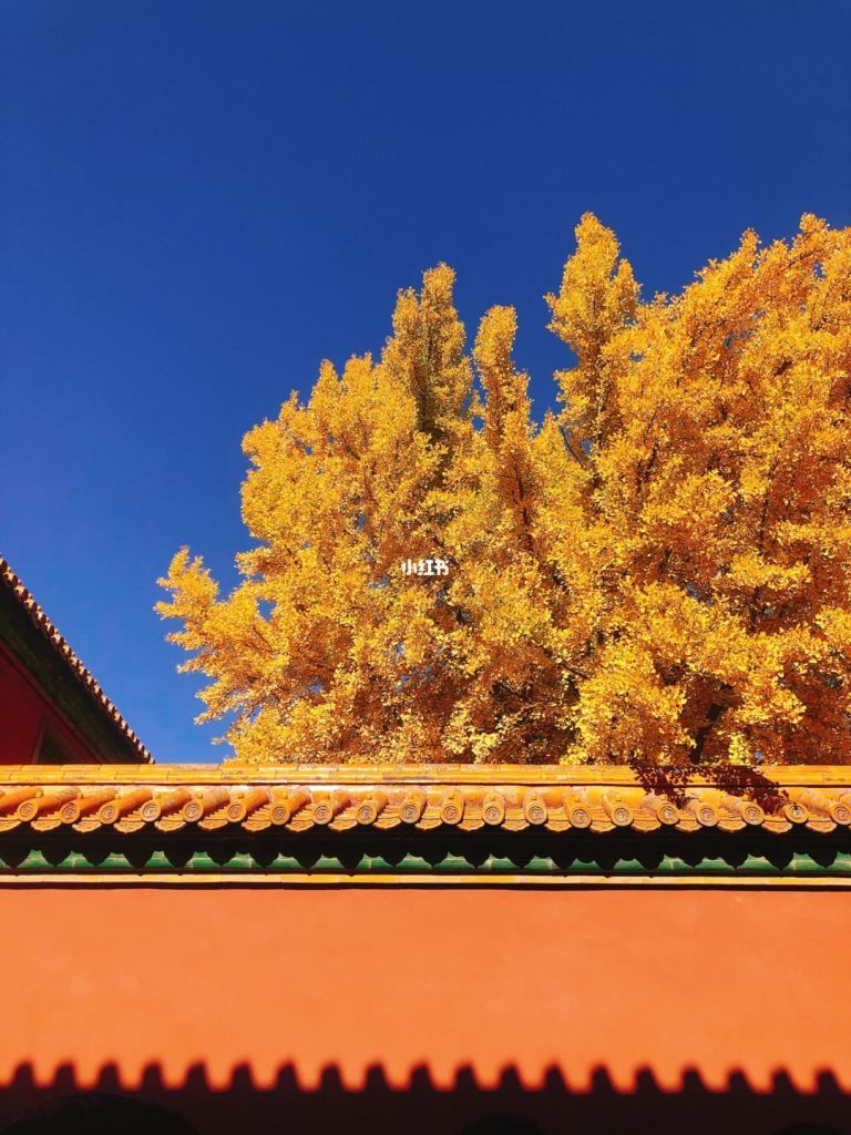 关于在哪真美的信息