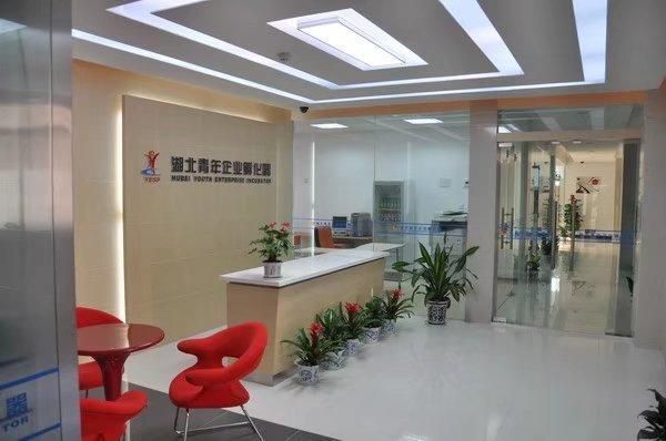 成立孵化器公司条件(成立孵化器的说明)