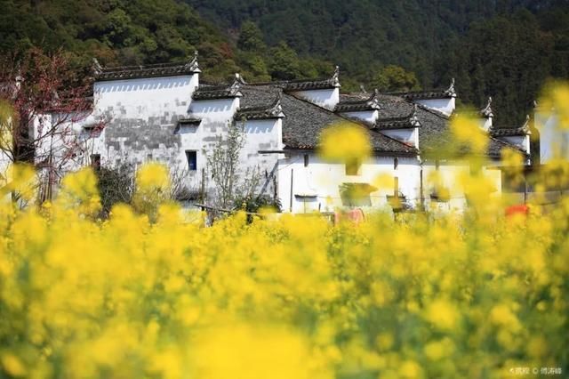 南太湖在哪里(长兴县南太湖在哪里)