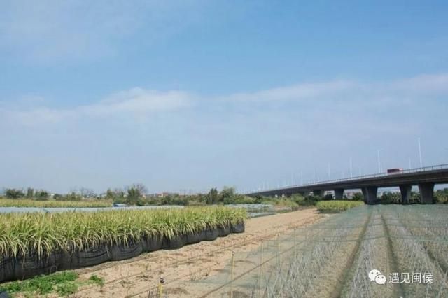 福州生态公园在哪里(福州生态公园)