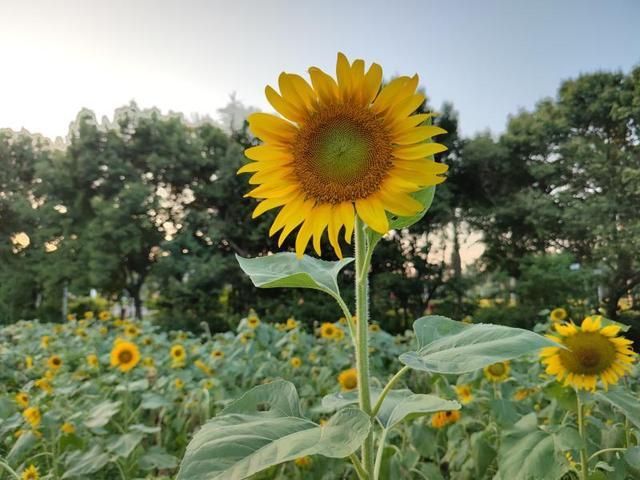 福州生态公园在哪里(福州生态公园)
