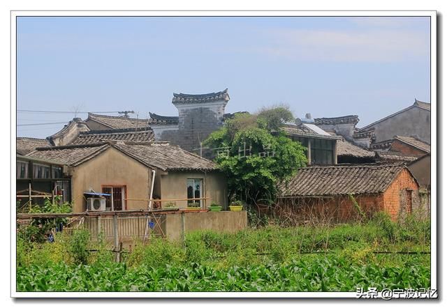 包含晴村在哪里的词条