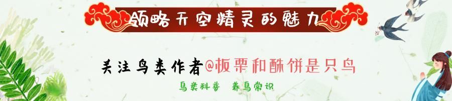 梁小骨在哪(量效关系曲线图)