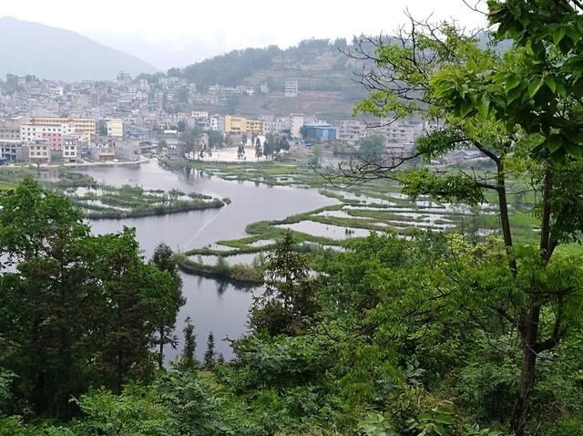 金龟岛在哪里(来宾市金龟岛在哪里)