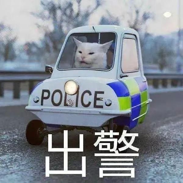 包含爱情万万岁吻戏在哪集的词条