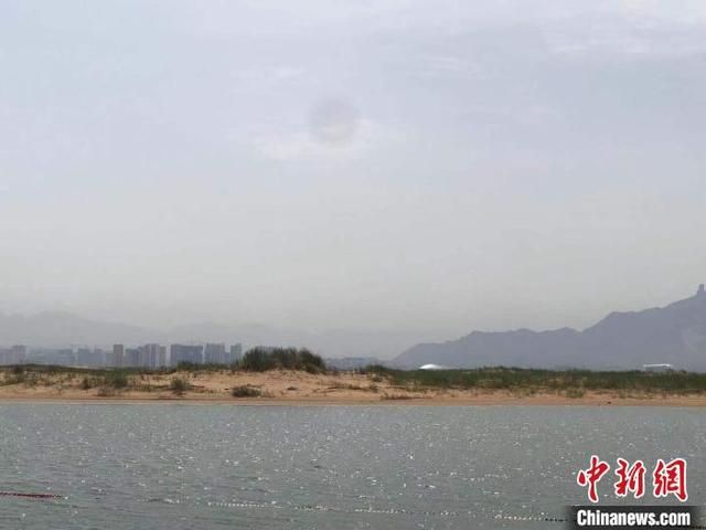 鸡梳羽在哪(技术员联盟)