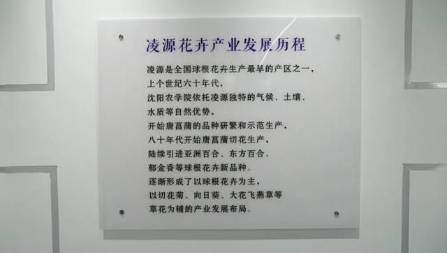 辽宁凌源在哪里(辽宁凌源天气预报)